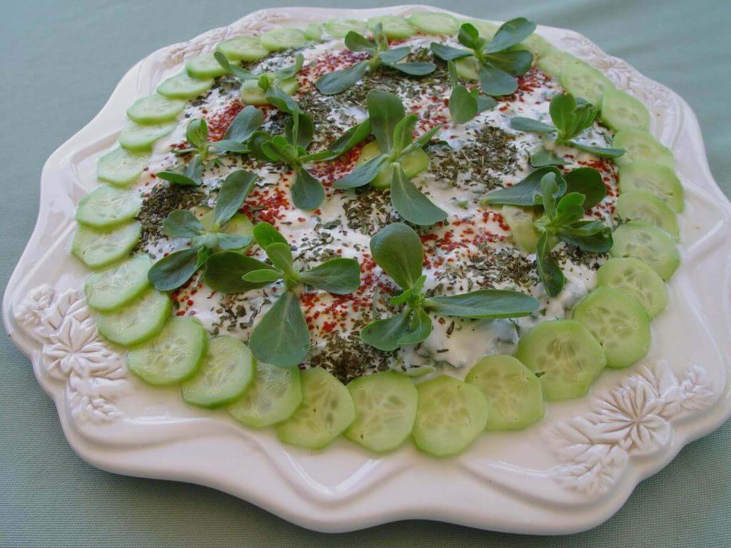 Feldsalat mit Joghurt - Yoğurtlu Semizotu Salatası